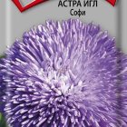 Семена Астра игл Софи 0,3, Поиск