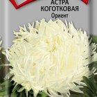 Семена Астра коготковая Ориент 0,3, Поиск