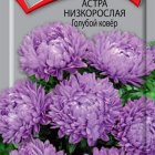 Семена Астра низкорослая Голубой ковер 0,2, Поиск