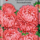 Семена Астра низкорослая Лососевый ковер 0,2, Поиск