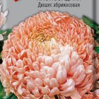 Семена Астра пионовидная Дюшес абрикосовая 0,3, Поиск