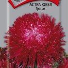 Семена Астра ювел Гранат 0,2, Поиск