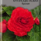 Семена Бегония клубневая крупноцветковая Красная 5, Поиск