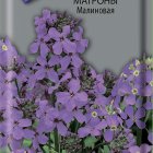 Семена Вечерница Матроны Малиновая 0,3, Поиск