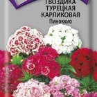 Семена Гвоздика Турецкая карликовая Пиноккио 0,3, Поиск