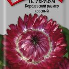 Семена Гелихризум Королевский размер красный 0,1, Поиск