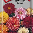 Семена Георгина Экстрим 0,2, Поиск