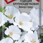 Семена Годеция крупноцветковая Вейсер Страус 0,2, Поиск