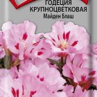 Семена Годеция крупноцветковая Майден Блаш 0,2, Поиск