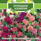 Семена Кларкия изящная Очарование 0,2, Поиск