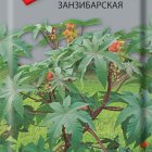 Семена Клещевина занзибарская . 3, Поиск