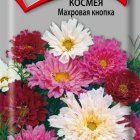 Семена Космея Махровая кнопка 0,1, Поиск