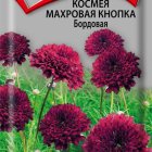 Семена Космея махровая кнопка Бордовая 0,1, Поиск