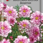 Семена Космея махровая кнопка Двуцветная 0,1, Поиск