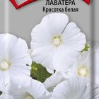 Семена Лаватера Красотка белая 0,3, Поиск