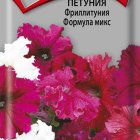 Семена Петуния Фриллитуния формула микс 10, Поиск