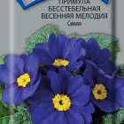 Семена Примула бесстебельная Весенняя мелодия Синяя 10, Поиск