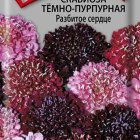 Семена Скабиоза темно-пурпурная Разбитое сердце 10, Поиск