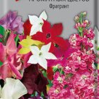 Семена Смесь ароматных цветов Фрагрант 0,5, Поиск