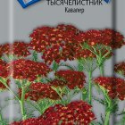 Семена Тысячелистник Кавалер 0,1, Поиск