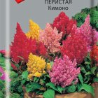 Семена Целозия перистая Кимоно 0,1, Поиск