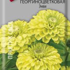 Семена Цинния георгиноцветковая Энви 0,4, Поиск