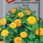 Семена Цинния низкорослая Румба Жёлтая 0,1, Поиск