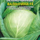 Семена Капуста позднеспелая Валентина F1 0,2 г