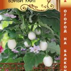 Семена Баклажан F1 Бэйби Уайт, 7 шт, Плазменные семена