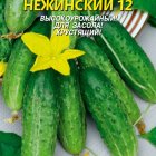 Семена Огурец Нежинский 12, 12 шт, Плазменные семена