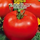 Семена Томат Взрыв, 25 шт, Плазменные семена