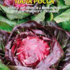 Семена Цикорий салатный Пала Росса, 0,2 гр, Плазменные семена