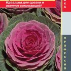 Семена Капуста декоративная F1 (серия Crane) Цапля Красная, 5 шт, Плазменные семена