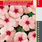 Семена Катарантус розовый (Барвинок) Пацифик Эприкот, 8 шт, Плазменные семена