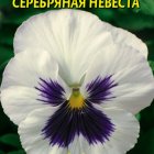 Семена Виола Серебряная невеста, 0,1 гр, Плазменные семена