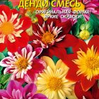 Семена Георгина Денди, 13 шт, Плазменные семена