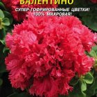 Семена Петуния F1 Валентино, 10драже в пробирке, Плазменные семена