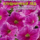 Семена Петуния F1 многоцветковая Клубничный лед, 10драже в пробирке, Плазменные семена