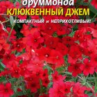 Семена Флокс друммонда Клюквенный джем, 0,1 гр, Плазменные семена