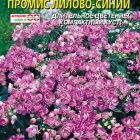 Семена Флокс махровый Промис Лилово-синий, 5 шт, Плазменные семена