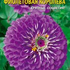 Семена Цинния Фиолетовая королева, 0,3 гр, Плазменные семена