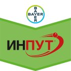 Инпут