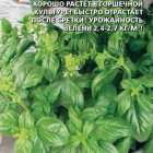 Семена Базилик Весеннее чудо, ц/п Уральский дачник