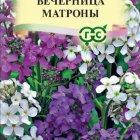 Семена Вечерница ночная Вечерница Матроны, смесь, 0,3 г R