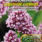 Семена Душица Северное сияние, 0,1г, Плазменные семена