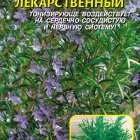 Семена Розмарин лекарственный 20 шт, Плазменные семена