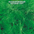 Семена Укроп Аврора 2г, Плазменные семена