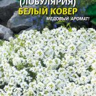 Семена Алиссум (лобулярия) Белый ковер, 0,24г, Плазменные семена