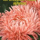 Семена Астра Королевский размер, абрикос 0,1г, Плазменные семена