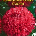 Семена Астра королевский размер Красная 0,1, Плазменные семена